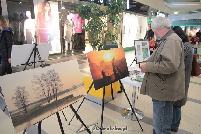 II Przegląd Twórczości Lokalnej w Galerii Bursztynowej: Malarstwo, fotografia, grafika [11.10.2015] - zdjęcie #10 - eOstroleka.pl