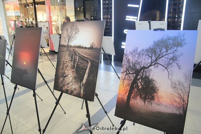 II Przegląd Twórczości Lokalnej w Galerii Bursztynowej: Malarstwo, fotografia, grafika [11.10.2015] - zdjęcie #12 - eOstroleka.pl