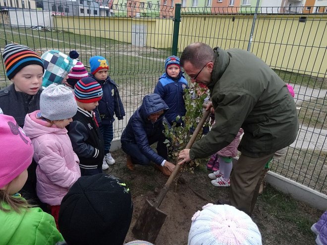 Ostrołęka: Święto Drzewa w „Krainie Misiów” [14.10.2015] - zdjęcie #19 - eOstroleka.pl