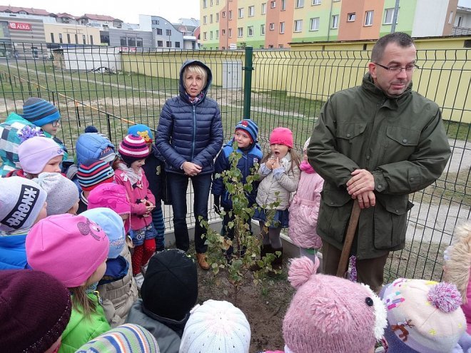 Ostrołęka: Święto Drzewa w „Krainie Misiów” [14.10.2015] - zdjęcie #20 - eOstroleka.pl