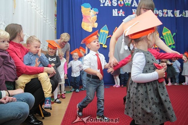 Pasowanie na „przedszkolaka” w Krainie Misiów [10.11.2015] - zdjęcie #27 - eOstroleka.pl