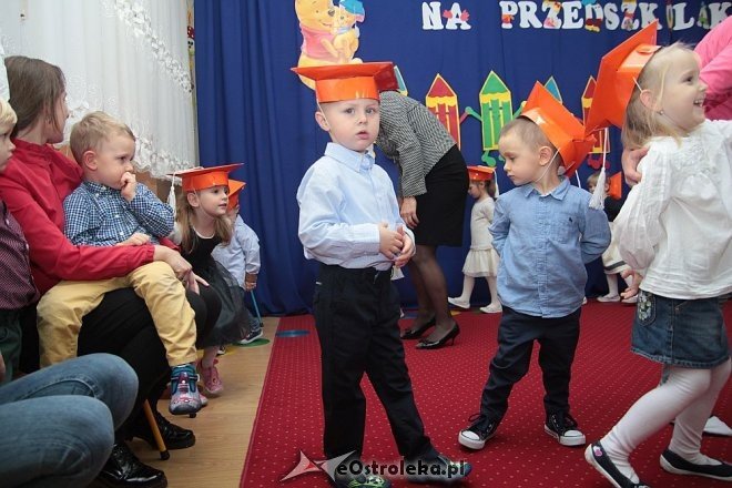 Pasowanie na „przedszkolaka” w Krainie Misiów [10.11.2015] - zdjęcie #35 - eOstroleka.pl