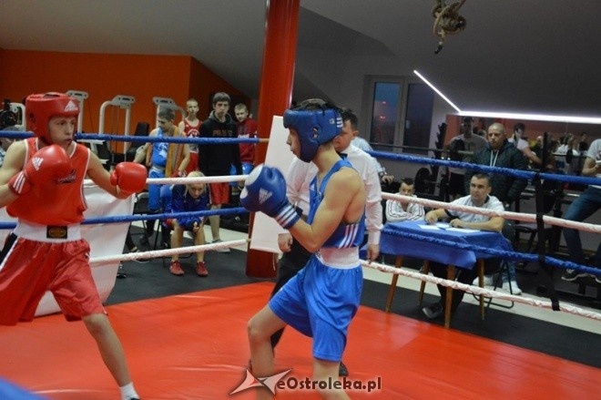Listopadowa sobota bokserska [28.11.2015] - zdjęcie #42 - eOstroleka.pl