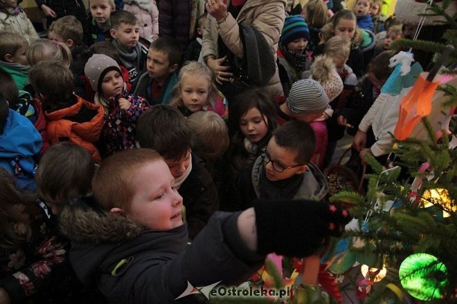 Ostrołęka: Przedszkolaki ubrały choinkę w „Handlowcu” [03.12.2015] - zdjęcie #65 - eOstroleka.pl