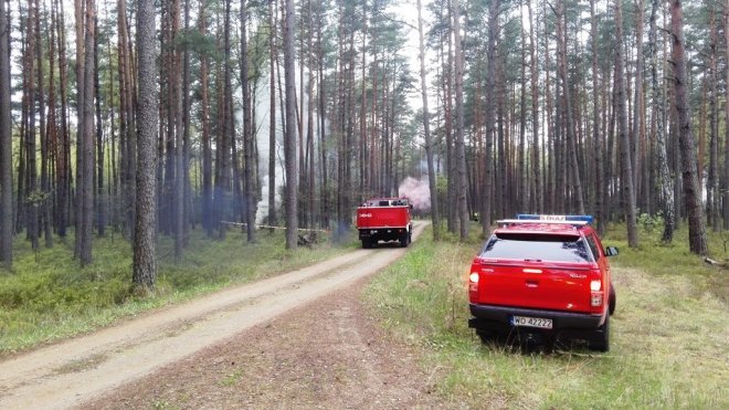 ćwiczenia ratowniczo – gaśnicze na kompleksie leśnym Leśnictwa Podgórze [27.04.2016] - zdjęcie #1 - eOstroleka.pl