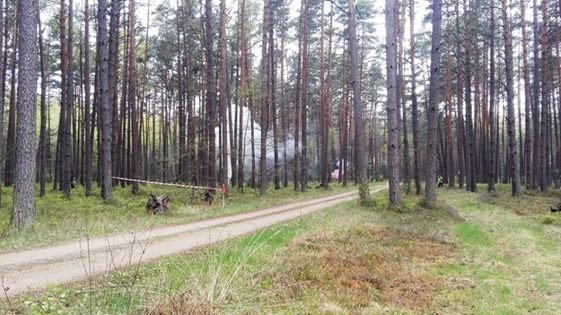 ćwiczenia ratowniczo – gaśnicze na kompleksie leśnym Leśnictwa Podgórze [27.04.2016] - zdjęcie #6 - eOstroleka.pl