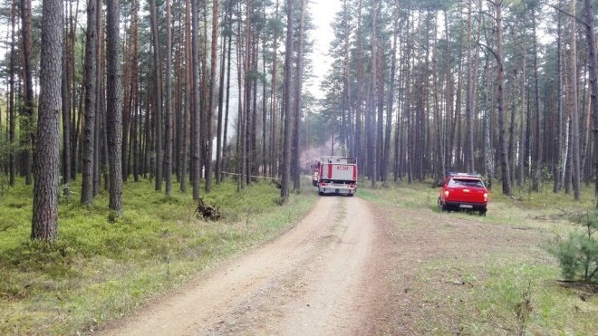 ćwiczenia ratowniczo – gaśnicze na kompleksie leśnym Leśnictwa Podgórze [27.04.2016] - zdjęcie #8 - eOstroleka.pl