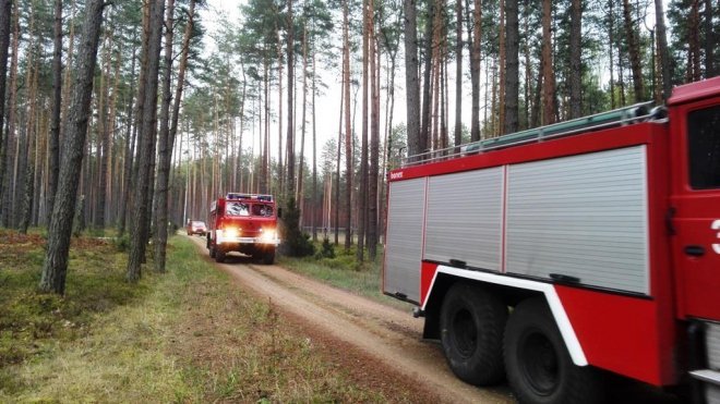 ćwiczenia ratowniczo – gaśnicze na kompleksie leśnym Leśnictwa Podgórze [27.04.2016] - zdjęcie #10 - eOstroleka.pl