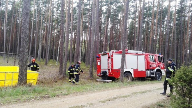 ćwiczenia ratowniczo – gaśnicze na kompleksie leśnym Leśnictwa Podgórze [27.04.2016] - zdjęcie #12 - eOstroleka.pl