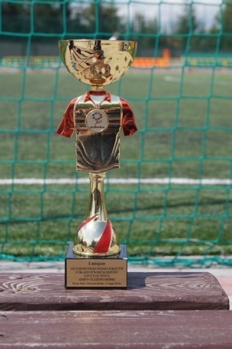 VII Turniej Piłki Nożnej Sołectw [15.05.2016] - zdjęcie #3 - eOstroleka.pl