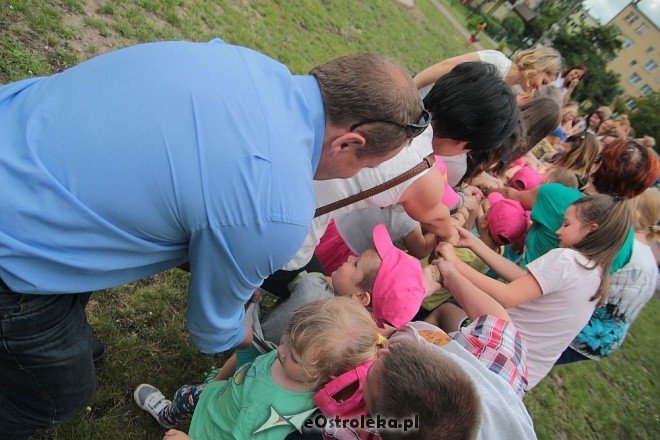 Sportowy piknik integracyjny w Krainie Misiów [22.06.2016] - zdjęcie #4 - eOstroleka.pl