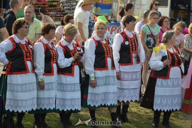 Światowy Zlot Młodzieży Kurpiowskiej - rekord Guinnessa [24.07.2016] - zdjęcie #24 - eOstroleka.pl