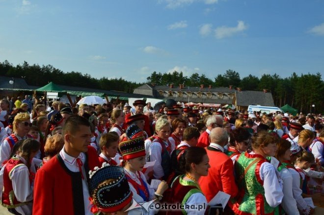 Światowy Zlot Młodzieży Kurpiowskiej - rekord Guinnessa [24.07.2016] - zdjęcie #39 - eOstroleka.pl