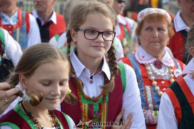 Światowy Zlot Młodzieży Kurpiowskiej - rekord Guinnessa [24.07.2016] - zdjęcie #57 - eOstroleka.pl