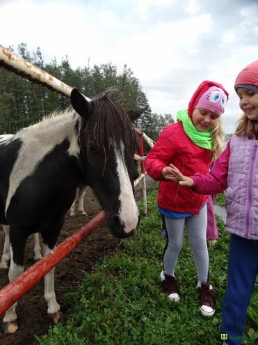 Przedszkolaki z Kadzidła z wizytą w stadninie koni [10.10.2016] - zdjęcie #14 - eOstroleka.pl