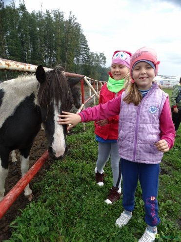 Przedszkolaki z Kadzidła z wizytą w stadninie koni [10.10.2016] - zdjęcie #15 - eOstroleka.pl