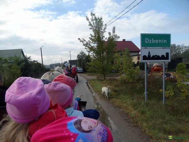 Przedszkolaki z Kadzidła z wizytą w stadninie koni [10.10.2016] - zdjęcie #20 - eOstroleka.pl