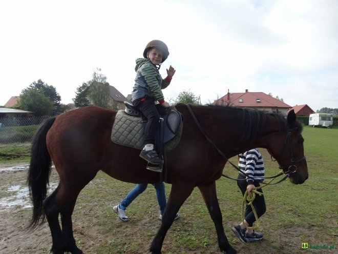 Przedszkolaki z Kadzidła z wizytą w stadninie koni [10.10.2016] - zdjęcie #30 - eOstroleka.pl