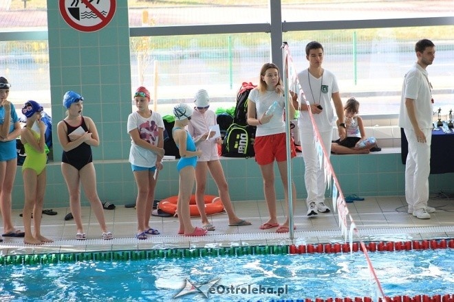 Otwarte Mistrzostwa Ostrołęki w Pływaniu [29.10.2016] - zdjęcie #23 - eOstroleka.pl