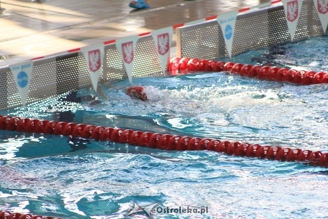Otwarte Mistrzostwa Ostrołęki w Pływaniu [29.10.2016] - zdjęcie #56 - eOstroleka.pl