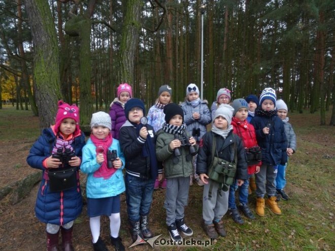 Przedszkolaki z Krainy Misiów „małymi ambasadorami przyrody” [ZDJĘCIA] - zdjęcie #1 - eOstroleka.pl