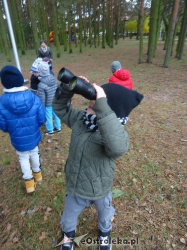 Przedszkolaki z Krainy Misiów „małymi ambasadorami przyrody” [ZDJĘCIA] - zdjęcie #2 - eOstroleka.pl