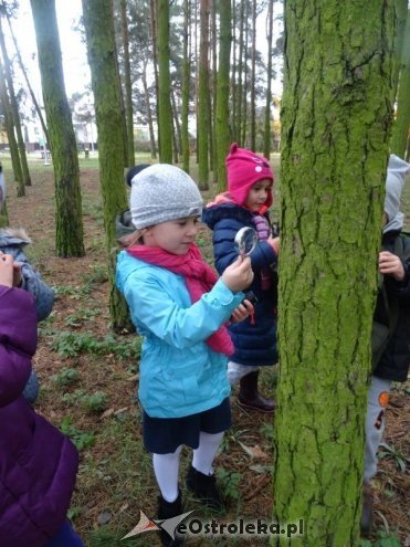 Przedszkolaki z Krainy Misiów „małymi ambasadorami przyrody” [ZDJĘCIA] - zdjęcie #3 - eOstroleka.pl