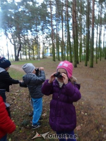 Przedszkolaki z Krainy Misiów „małymi ambasadorami przyrody” [ZDJĘCIA] - zdjęcie #6 - eOstroleka.pl