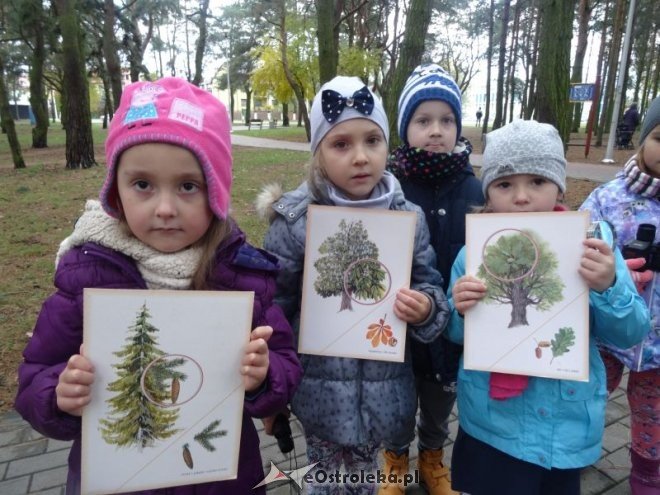 Przedszkolaki z Krainy Misiów „małymi ambasadorami przyrody” [ZDJĘCIA] - zdjęcie #9 - eOstroleka.pl