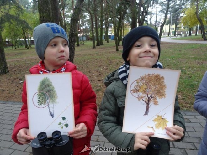Przedszkolaki z Krainy Misiów „małymi ambasadorami przyrody” [ZDJĘCIA] - zdjęcie #10 - eOstroleka.pl