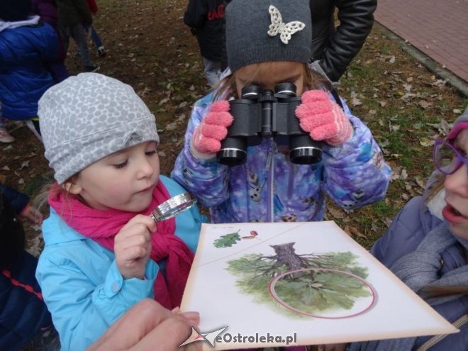Przedszkolaki z Krainy Misiów „małymi ambasadorami przyrody” [ZDJĘCIA] - zdjęcie #13 - eOstroleka.pl