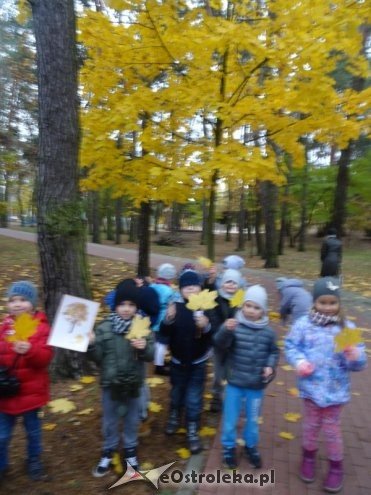 Przedszkolaki z Krainy Misiów „małymi ambasadorami przyrody” [ZDJĘCIA] - zdjęcie #14 - eOstroleka.pl
