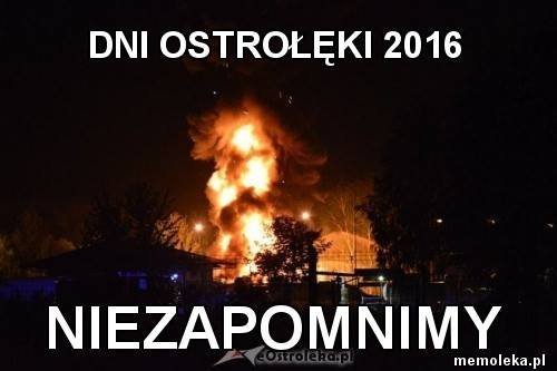 Memy o Ostrołęce i powiecie [07.11.2016] - zdjęcie #11 - eOstroleka.pl