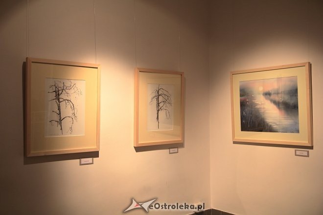 Wernisaż poplenerowej wystawy „Lipniki 2016” w Galerii Ostrołęka [ZDJĘCIA] - zdjęcie #22 - eOstroleka.pl