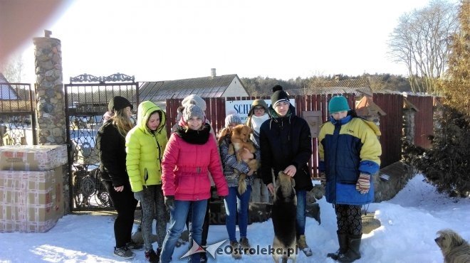 Uczniowie z ZSZ nr 2 z wizytą w kruszewskim schronisku [ZDJĘCIA] - zdjęcie #13 - eOstroleka.pl