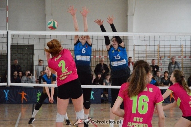 Turniej 1/2 finału Mistrzostw Mazowsza młodziczek - Ostrołęka [4-5.03.2017] - zdjęcie #35 - eOstroleka.pl