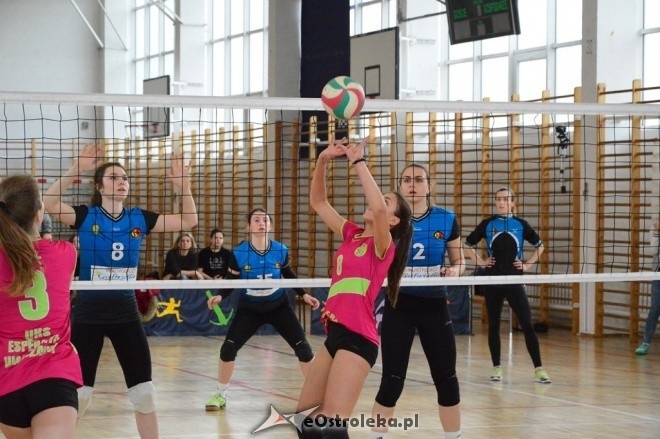 Turniej 1/2 finału Mistrzostw Mazowsza młodziczek - Ostrołęka [4-5.03.2017] - zdjęcie #33 - eOstroleka.pl