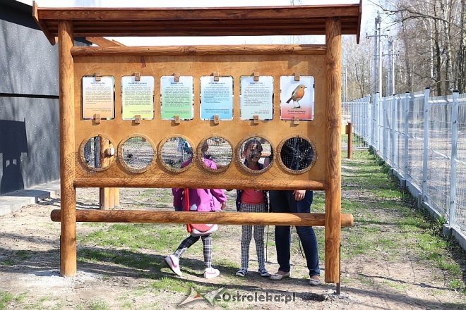 1 kwietnia z Multimedialnym Centrum Natura [01.04.2017] - zdjęcie #1 - eOstroleka.pl