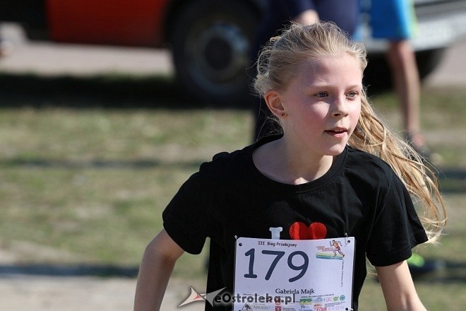 Cross Szalonego Kurpsia [02.04.2017] - zdjęcie #185 - eOstroleka.pl