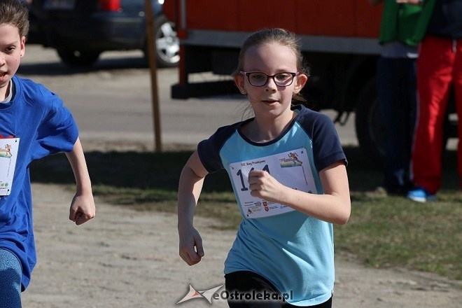 Cross Szalonego Kurpsia [02.04.2017] - zdjęcie #183 - eOstroleka.pl