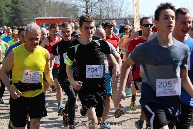 Cross Szalonego Kurpsia [02.04.2017] - zdjęcie #146 - eOstroleka.pl