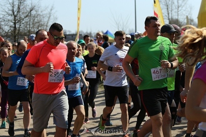 Cross Szalonego Kurpsia [02.04.2017] - zdjęcie #140 - eOstroleka.pl