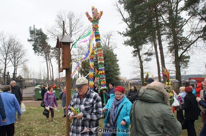 Niedziela Palmowa w Łysych 2017 [09.04.2017] - zdjęcie #164 - eOstroleka.pl