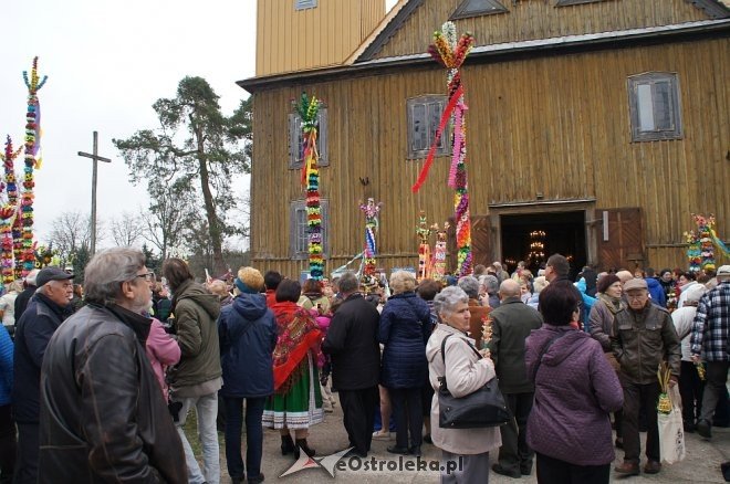 Niedziela Palmowa w Łysych 2017 [09.04.2017] - zdjęcie #162 - eOstroleka.pl