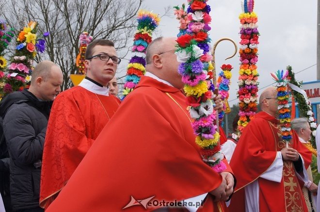 Niedziela Palmowa w Łysych 2017 [09.04.2017] - zdjęcie #75 - eOstroleka.pl