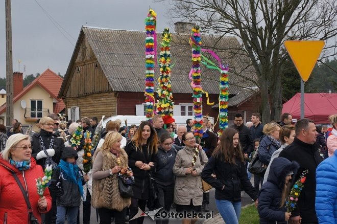 Niedziela Palmowa w Łysych 2017 [09.04.2017] - zdjęcie #38 - eOstroleka.pl