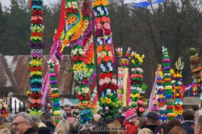 Niedziela Palmowa w Łysych 2017 [09.04.2017] - zdjęcie #30 - eOstroleka.pl