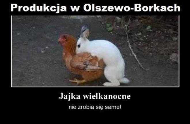 Najnowsze memy o Ostrołęce - zdjęcie #18 - eOstroleka.pl