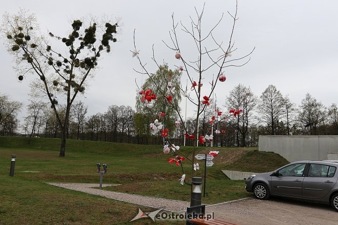 Patriotyczna Majówka przy Fortach Bema [03.05.2017] - zdjęcie #2 - eOstroleka.pl