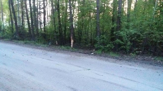 Borowce: Motocyklista roztrzaskał się o przydrożne drzewo [ZDJĘCIA] - zdjęcie #3 - eOstroleka.pl